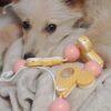 Kora - 9 mesi (nata indicativamente il 6 Febbraio 2024)  - Simil Golden Retriever  - Taglia: Media   Foto 9